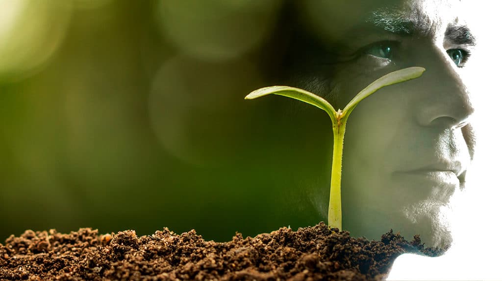 ILLOVO SUGAR Sugar Factory diffuser, Nakambala, Zambia De Smet