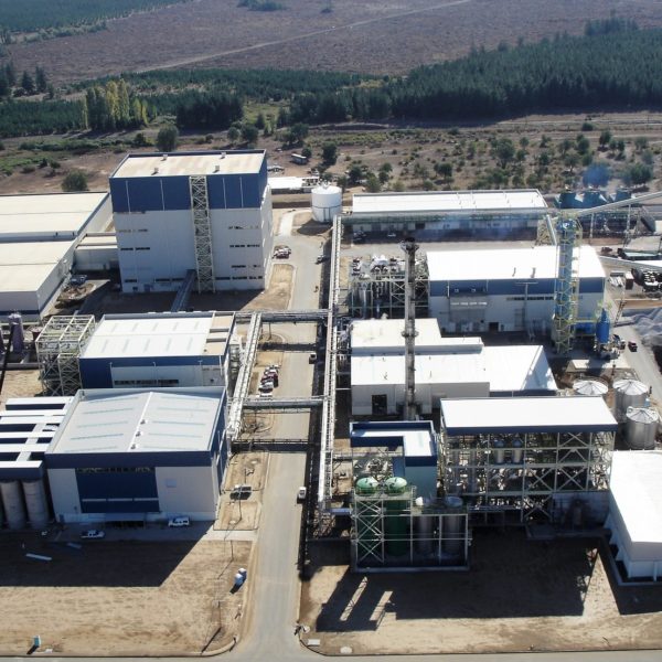 Inuline Sugar Chicory processing plant-1 Inuline Sugar Chicory processing plant-1