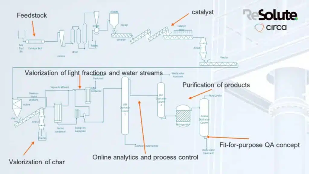 RESOLUTE Process flow