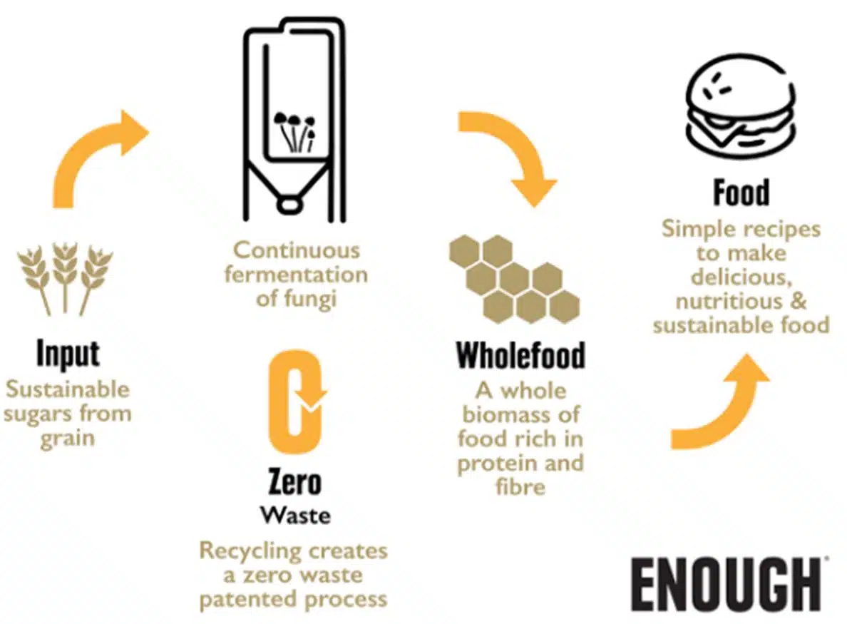 Fermentation-food-diagram-patented wthBkg